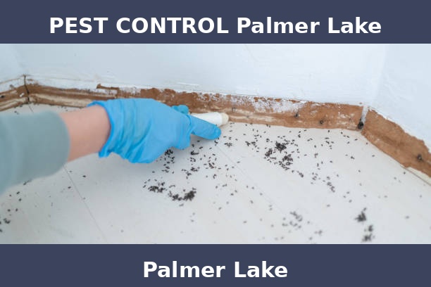 PEST CONTROL Palmer Lake